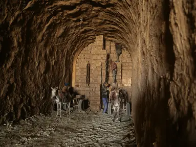 Pekerja memuat batu bata ke gerobak keledai di sebuah pabrik batu bata di pinggiran tenggara Baghdad Nahrawan, Irak, Kamis (24/5/2021).  Para pekerja bekerja 12 jam sehari dengan upah sekitar USD$ 15. (AP Photo/Hadi Mizban)