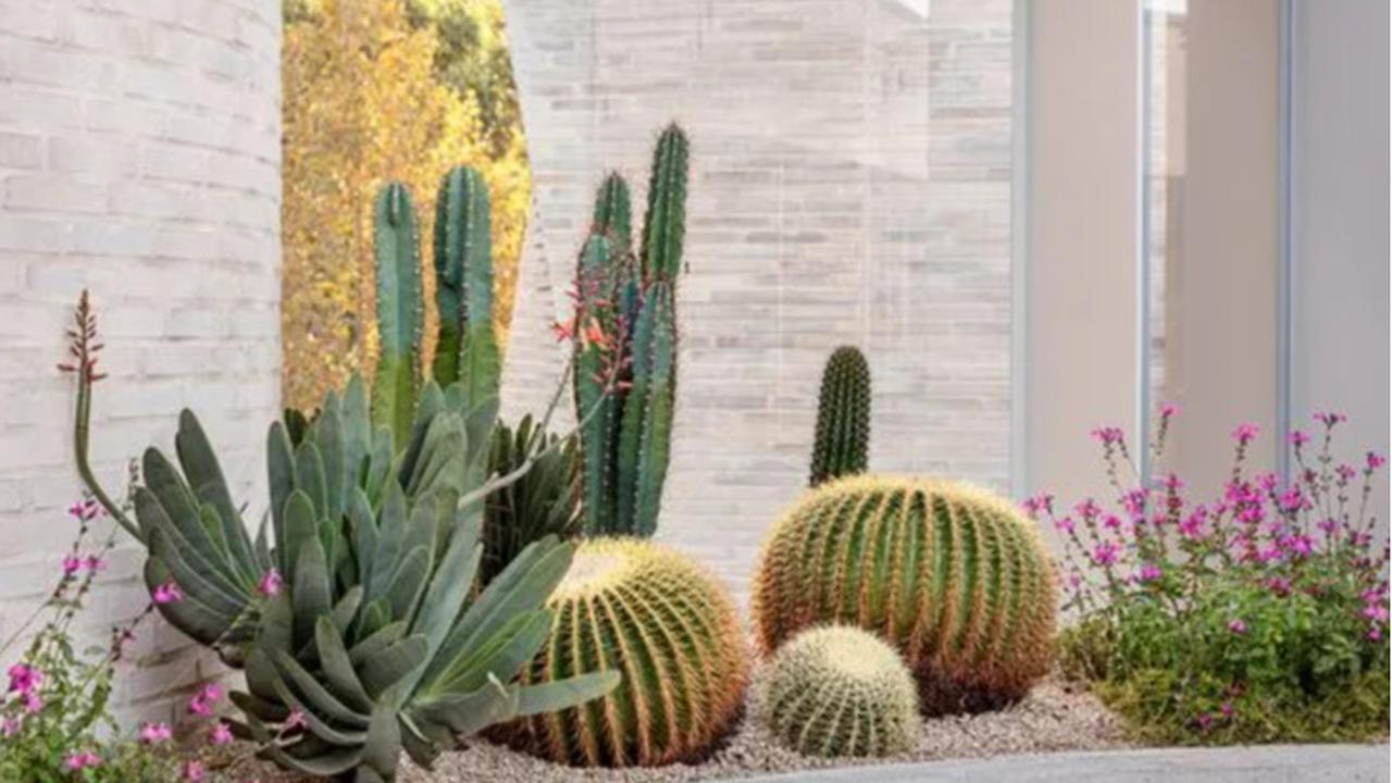 15 Inspirasi taman kering dalam rumah dengan berbagai tema