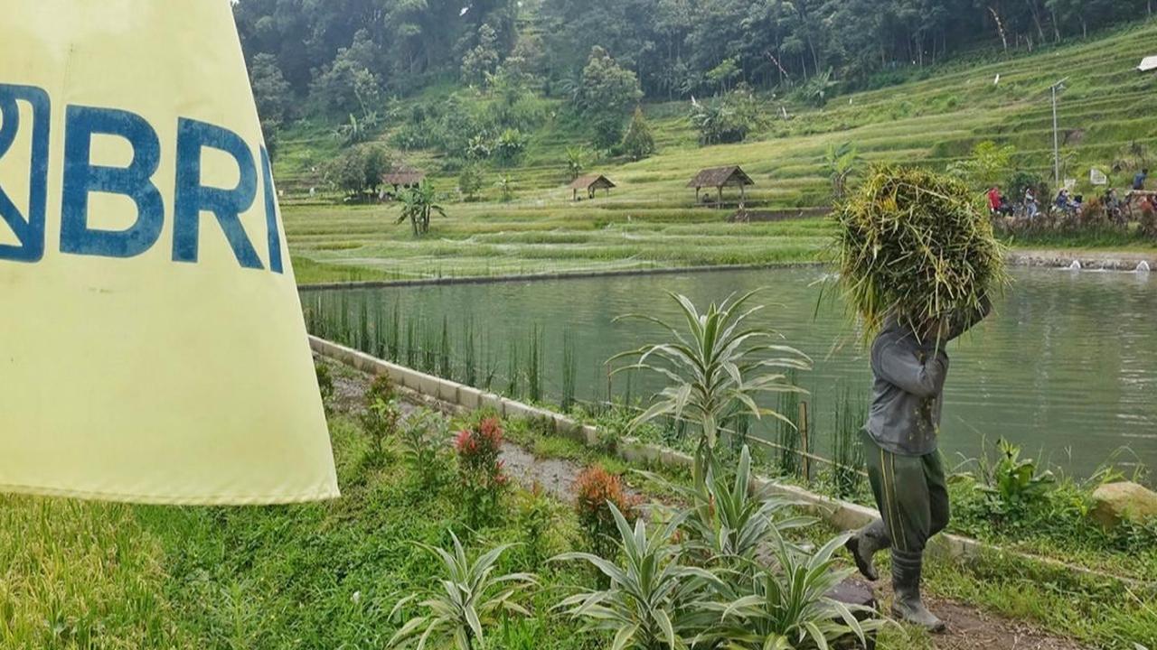 BRI Rayakan Hari Tani Nasional dengan Perkuat Dukungan Pembiayaan dan Pemberdayaan Petani