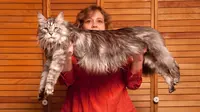 Lima Kucing Peraih Rekor Dunia