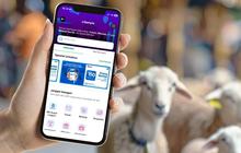 Ber-Qurban bersama BRImo: Cukup dalam Genggaman, Kebaikan jadi Nyata