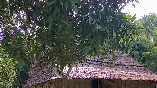 Rumat adat Suku Naulu
