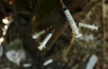 Potret suram pecandu heroin simpan jarum suntik di pohon pisang