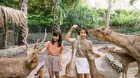 Harga Tiket Bali Zoo 2025: Panduan Lengkap dan Promo Menarik