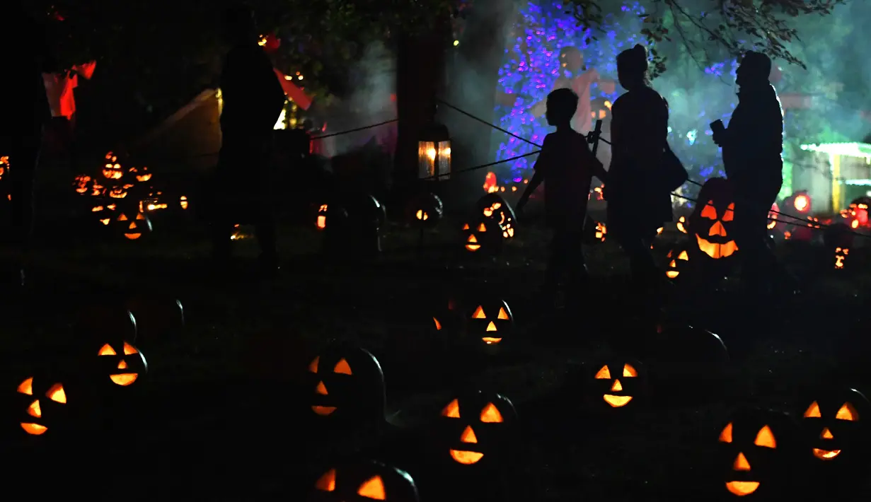 Pengunjung melewati labu yang disinari cahaya pada pameran Great Jack O'Lantern Blaze di Van Cortlandt Manor, New York, Sabtu (14/10). Lebih dari 7.000 lentera labu yang diukir tangan ditampilkan di pameran Halloween tahunan ini. (TIMOTHY A. CLARY/AFP)