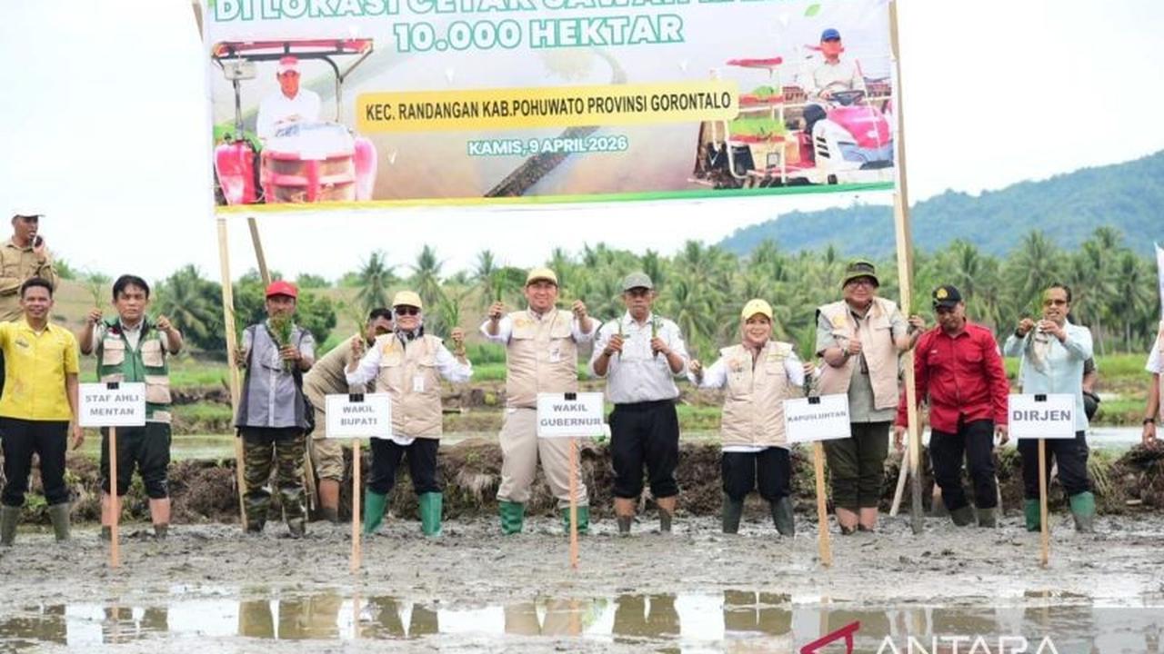 Wagub Gorontalo Idah Syahidah Turun Langsung Cetak Sawah Rakyat, Dorong Ketahanan Pangan Nasional