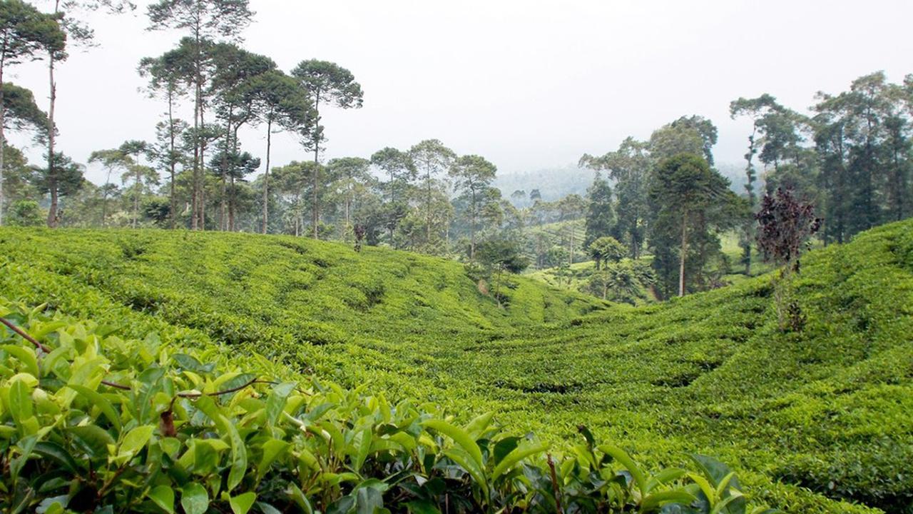 9 Wisata Batang Paling Populer, Banyak Spot yang Masih Perawan