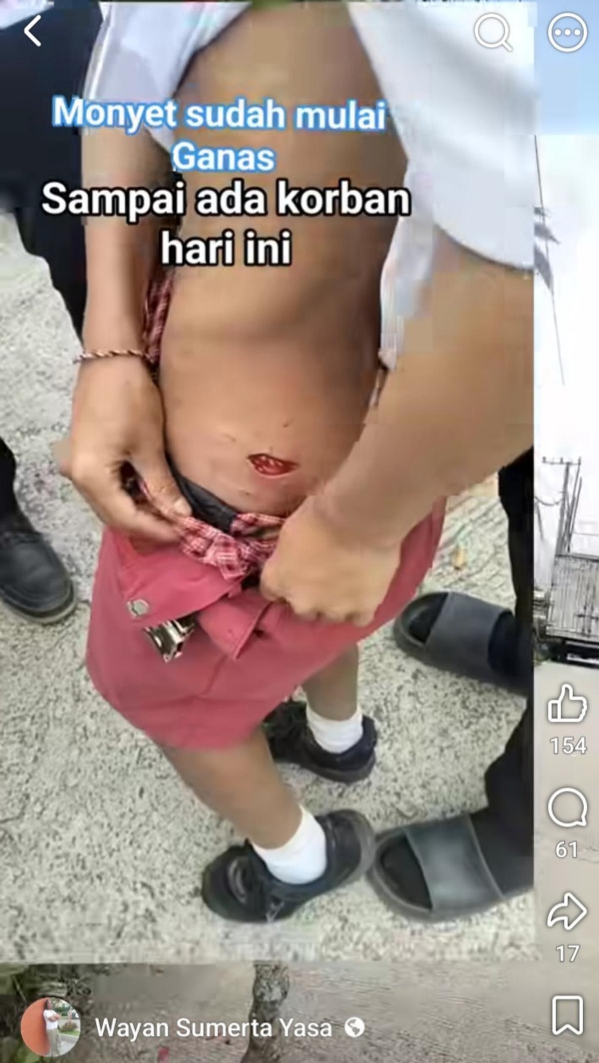 Tangkapan layar video yang menunjukkan kawanan monyet di atap SD Negeri 2 Wanagiri, Kabupaten Buleleng, Bali.