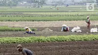Kementan Berjuang agar Bunga KUR Pertanian Turun Jadi 3 Persen
