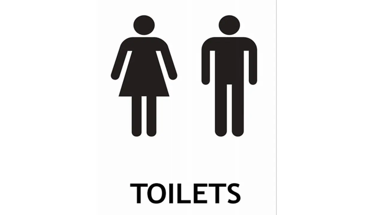 Pelecehan Seksual JIS, Kak Seto: Anak ke Toilet Harus Didampingi