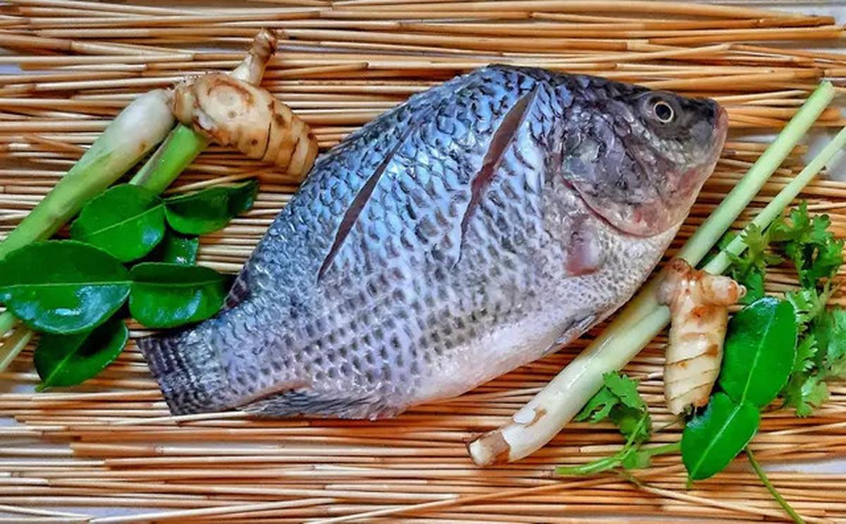 Resep Pesmol Ikan Nila yang Gurih Menggugah Selera, Sajikan untuk Lauk Berbuka
