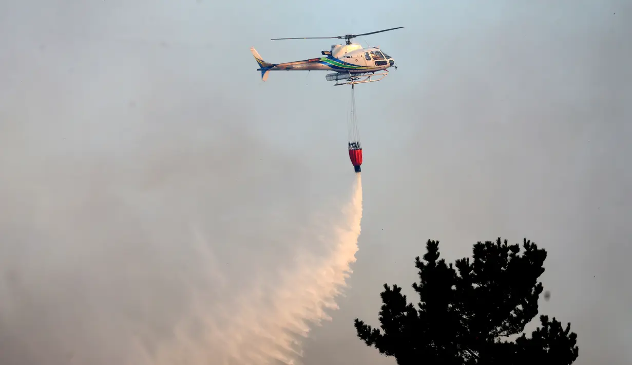 Sebuah helikopter membawa air untuk memadamkan api yang melanda kawasan Dichato Chili, Senin (30/1). Diperkirakan api telah melalap sekitar 680.000 are lahan. (AP Photo / Esteban Felix)