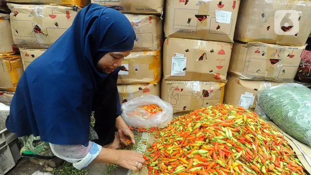 Harga Cabai