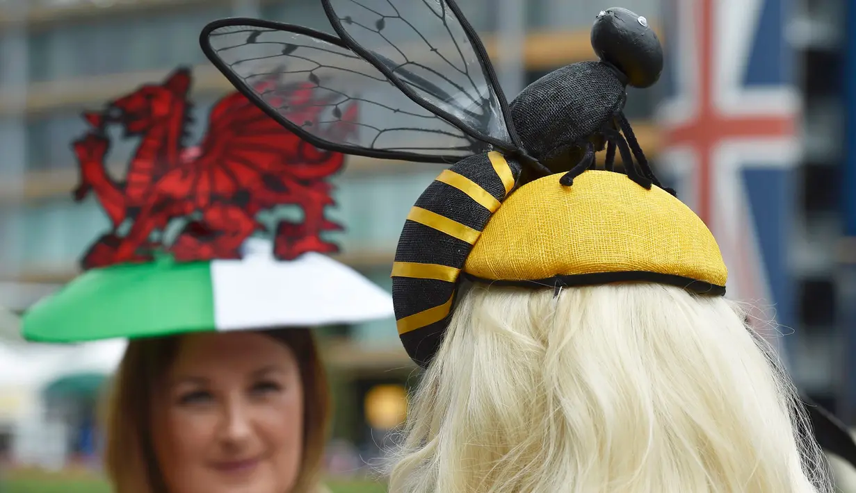 Wanita penggemar balap kuda menggunakan topi yang unik di Ascot Racecourse, Inggris , (16/6). Pacuan kuda ini merupakan salah satu pacuan terkemuka dan terbesar di Inggris. (Reuters / Toby Melville)