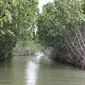 Kali Tanyep, Dukuh Sigempol, Randusanga Kulon, Brebes menjadi pintu gerbang perjalanan menuju Pulau Hantu. (Foto: Jatengprov.go.id)