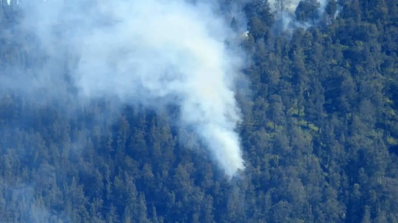 Hutan di Kawasan Taman Nasional Bromo Tengger Semeru Terbakar