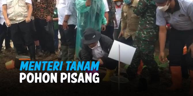 VIDEO: Aksi Menkop UKM dan Menteri ATR/BPN Tanam Pohon Pisang di Sukabumi