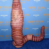 Heidi Klum merancang kostum Halloween cacing raksasa selama dua tahun (instagram/heidiklum)