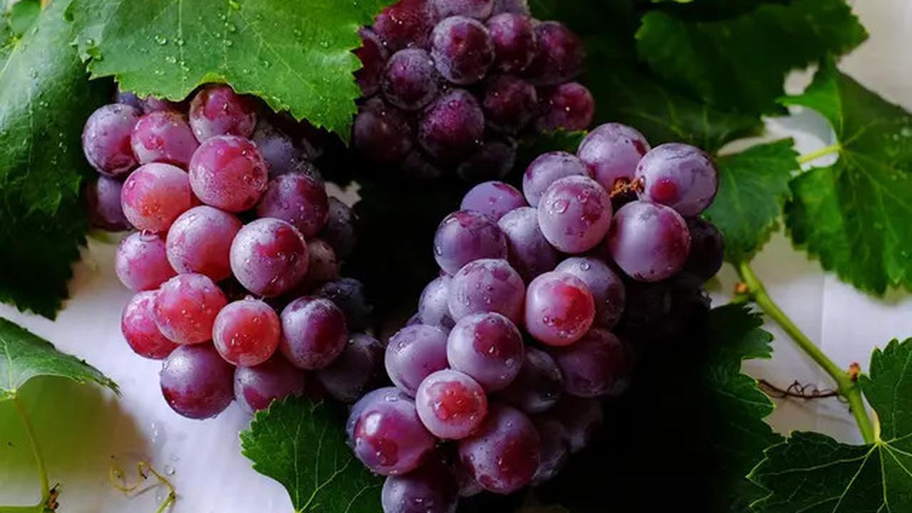 6 Tanaman Buah Berbentuk Mini yang Bisa Ditanam di Pot Teras Rumah