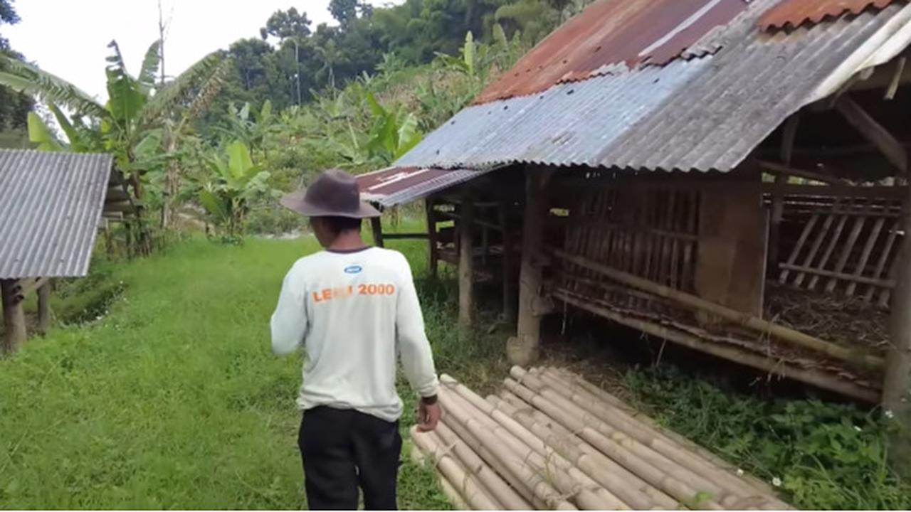 rohendi