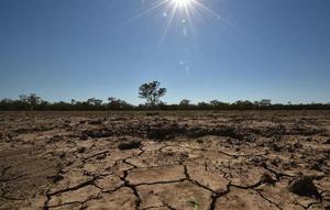 Foto ilustrasi kekeringan di Australia. Foto diambil pada 11 Februari 2015 di Walgett, 650 kilometres Sydney, sebuah kota pertanian terbesar di kawasan itu tengah menderita kekeringan parah akibat musim panas yang terik. (PETER PARKS / AFP)