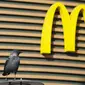 Seekor burung duduk di sebelah restoran McDonald's yang ditutup untuk pengunjung di St. Petersburg, Rusia, Selasa (15/3/2022). Gerai makanan siap saji McDonald's resmi menutup 850 gerainya yang beroperasi di Rusia pada 14 Maret 2022. (AP Photo)