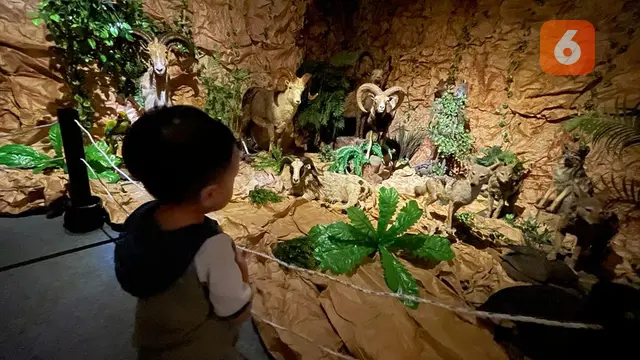 Museum Rahmat Galerry