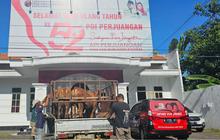 Wujud Berbagi di Hari Raya Iduladha, PDI Perjuangan Jatim Salurkan 403 Sapi Kurban