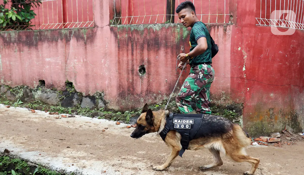 Tentara membawa anjing pelacak saat mencari korban yang tertimbun longsor akibat gempa berkekuatan magnitudo 5,6 di Cijendil, Kabupaten Cianjur, Jawa Barat, Rabu (23/11/2022). Puluhan warga di kawasan itu diperkirakan masih tertimbun longsor pascagempa yang mengguncang Cianjur pada 21 November 2022. (Liputan6.com/Herman Zakharia)