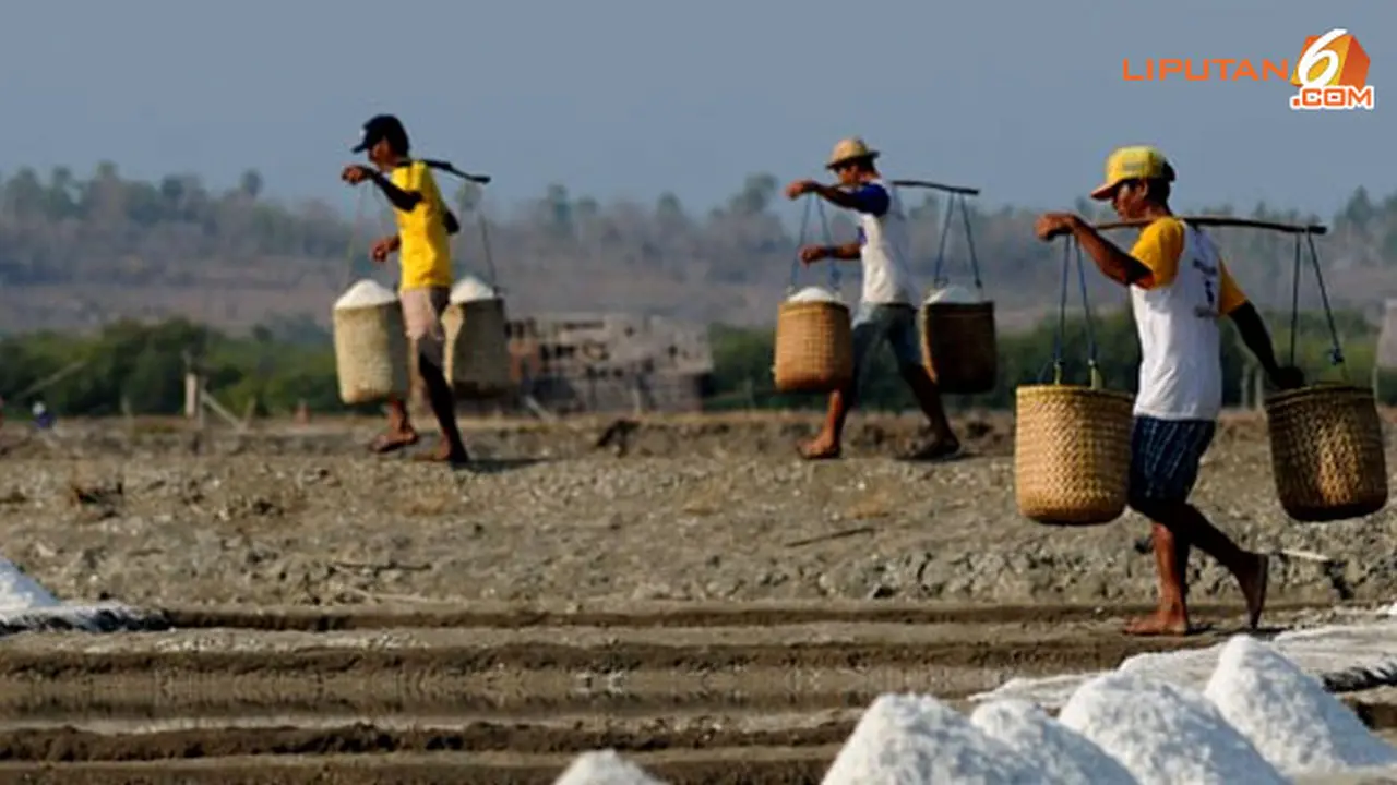 petani-ntt-140115b.jpg