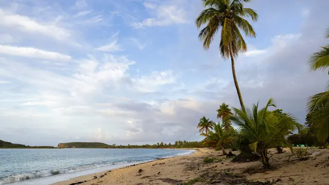 Vieques