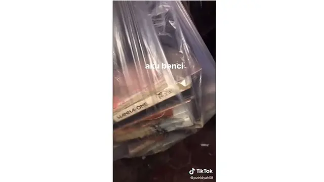 Cewek Ini Nangis Koleksi Album Kpop Idolanya Dimakan Rayap, Penampakannya Ngeri