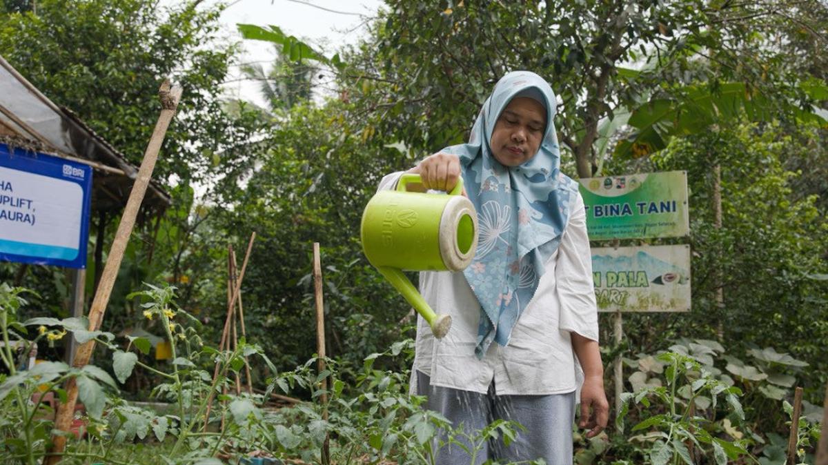 Program Klaster Unggulan BRI Peduli Bantu Kelompok Wanita Tani Bogor Kembangkan Usaha Olahan Pala