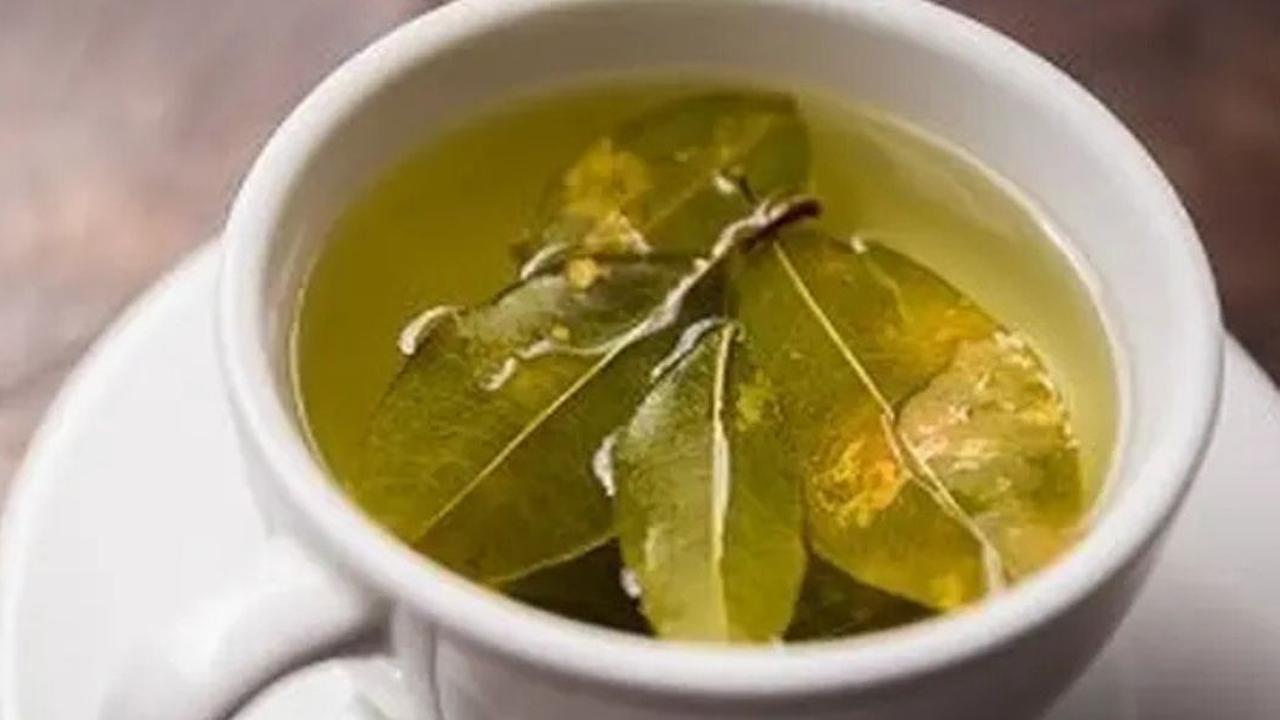 Turunkan Kolesterol dan Asam Urat dengan Ramuan Daun Salam