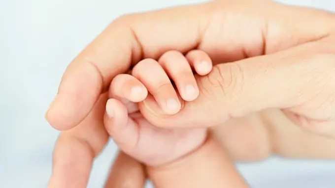 Copyright quizpop.com.br