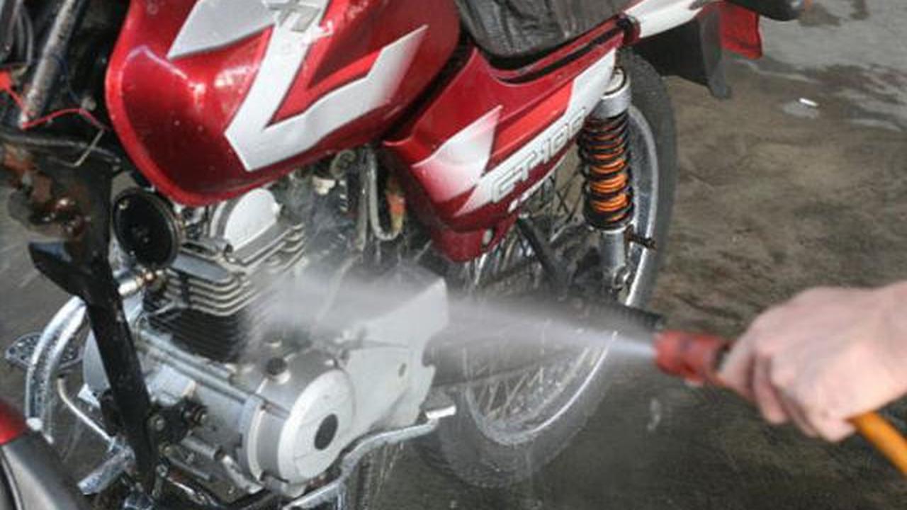 Motor Sering Dikencingi Kucing? Ini Cara Ampuh Menghilangkan Bau Pesing