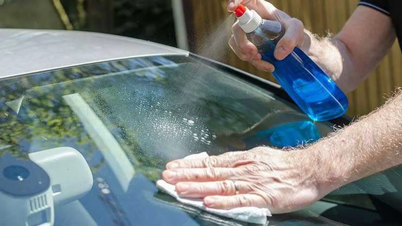 Penggunaan rain repellent untuk memberikan efek daun talas