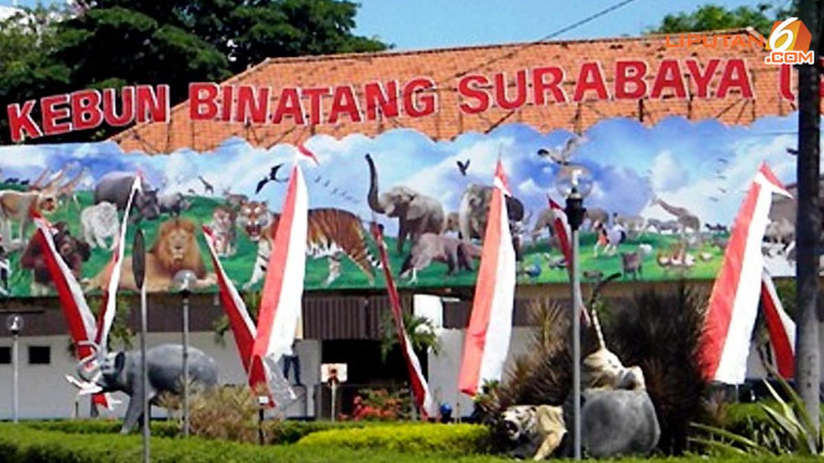5 Hal yang Jarang Diketahui soal Kebun Binatang Surabaya - Surabaya Liputan6.com