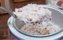 Begini Cara Menyimpan Nasi agar Tetap Pulen dan Tidak Cepat Basi