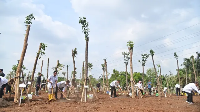 Sinar Mas melalui Sinar Mas Land dan Sinar Mas Agribusiness & Food menanam ratusan pohon di sejumlah lokasi di Jabodetabek dalam rangka memperingati Hari Penanaman Pohon Sedunia (28/11). (Foto: Biro Pers Setpres)