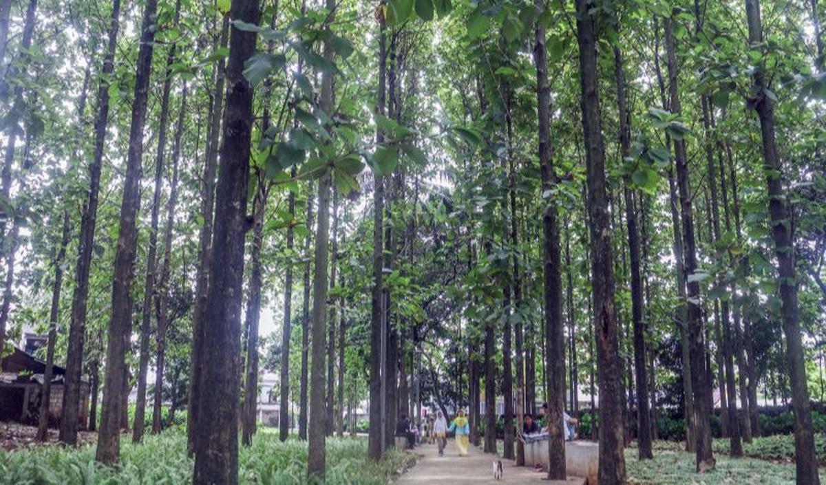 Bayu menyampaikan proses pembuatan taman sudah dimulai. Pembangunan 23 taman baru itu ditargetkan rampung pada Desember 2023.