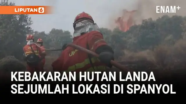 Kebakaran Hutan Meluas di Spanyol, Ribuan Warga Diminta Evakuasi