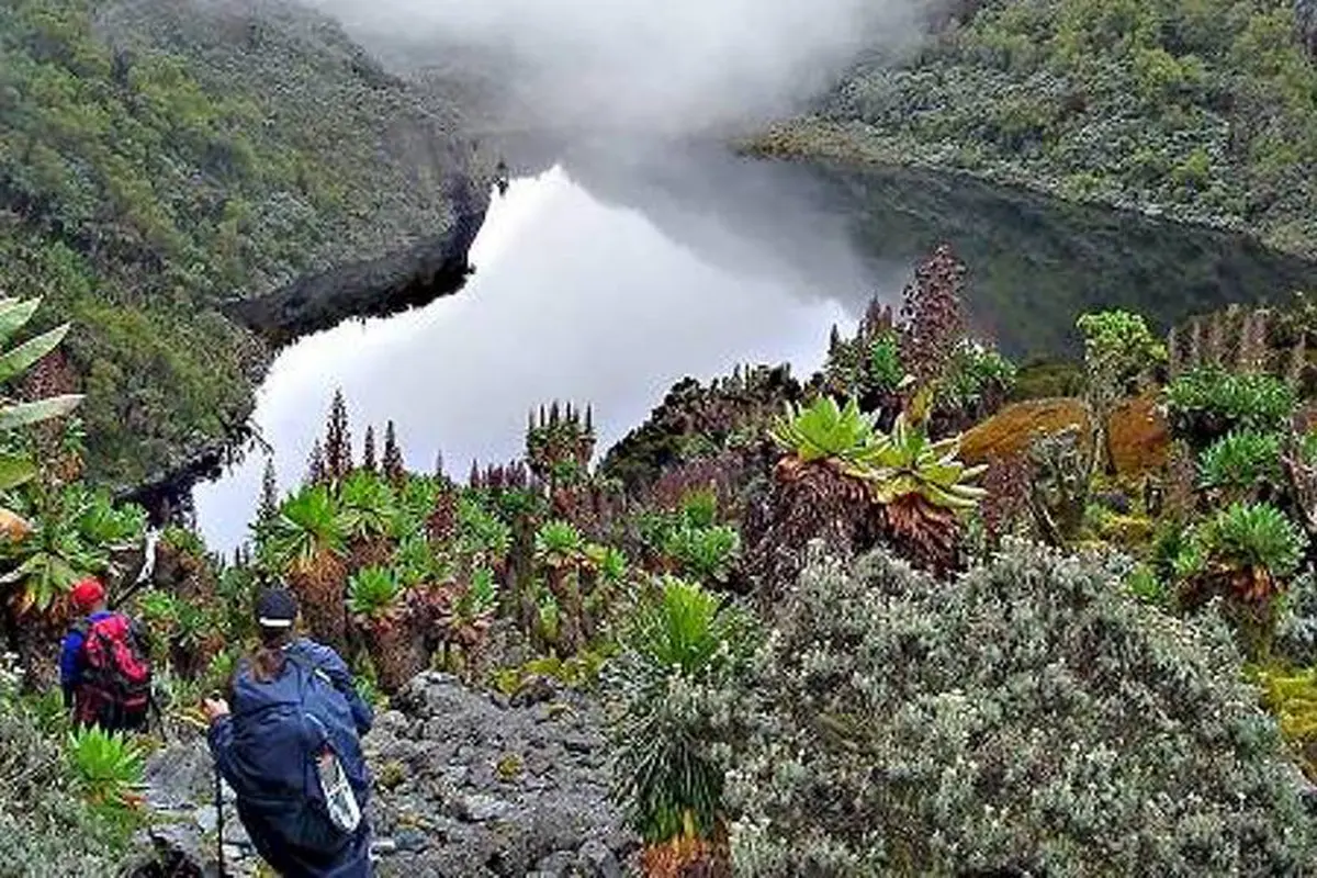Taman Nasional Rwenzori, Uganda