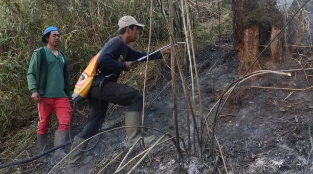Hutan di Ranu Kembang Terbakar, Jalur Pendakian Gunung Semeru Ditutup Total