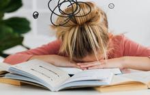 Sering Lelah, Mudah Gemuk, dan Sulit Fokus? Waspadai Gejala Metabolisme Lambat dan Atasi dengan 5 Langkah Ini