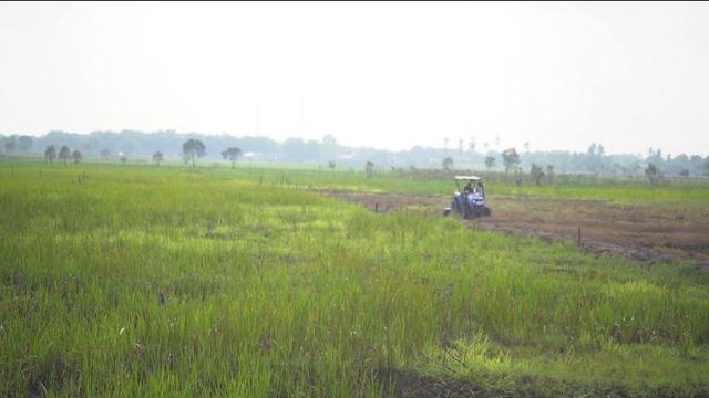 Kementan Dorong Petani Gunakan AUTP