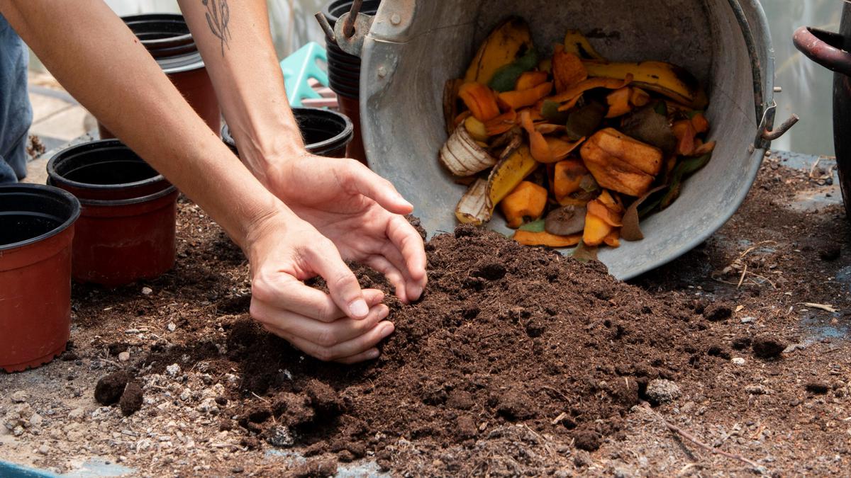 Cara Buat Pupuk Alami dari Sisa Dapur, Panduan Lengkap Tanaman Subur dan Lingkungan Sehat