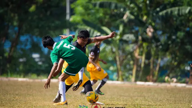 Liga AYO 2019