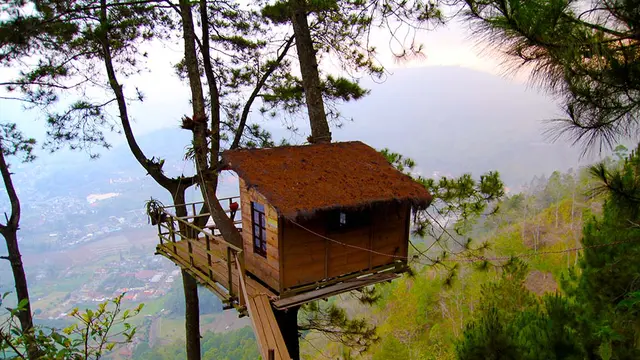 25 Wisata Malang Batu yang Paling Populer, Ada Hutan Bambu Mirip Sagano Bamboo di Kyoto