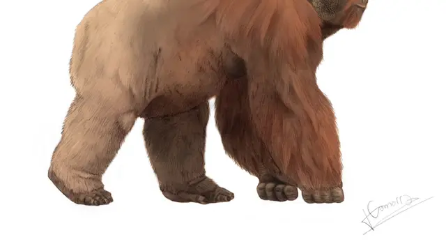 Gigantopithecus